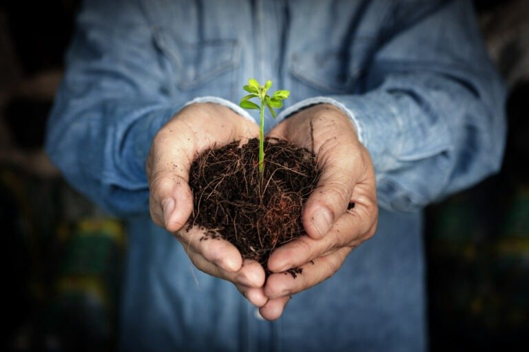 Before & After: How Understanding Autism Can Transform Self‑Perception