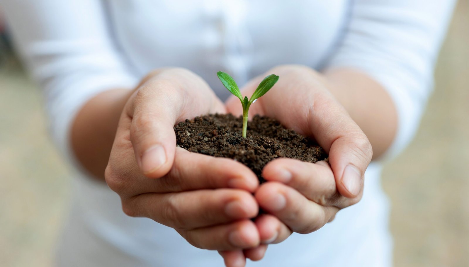 iStock 1772181464 scaled