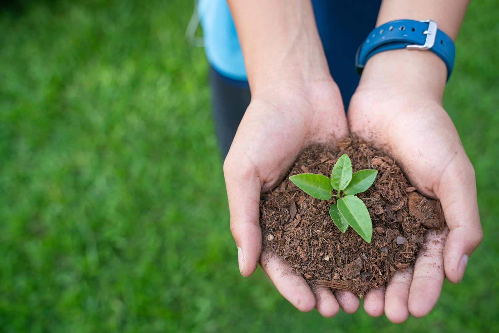 iStock 979322034 scaled