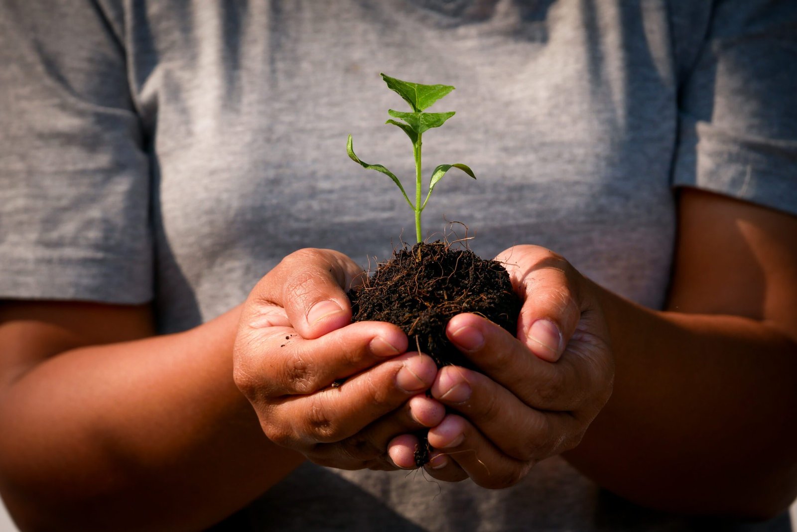 iStock 1137920282 scaled