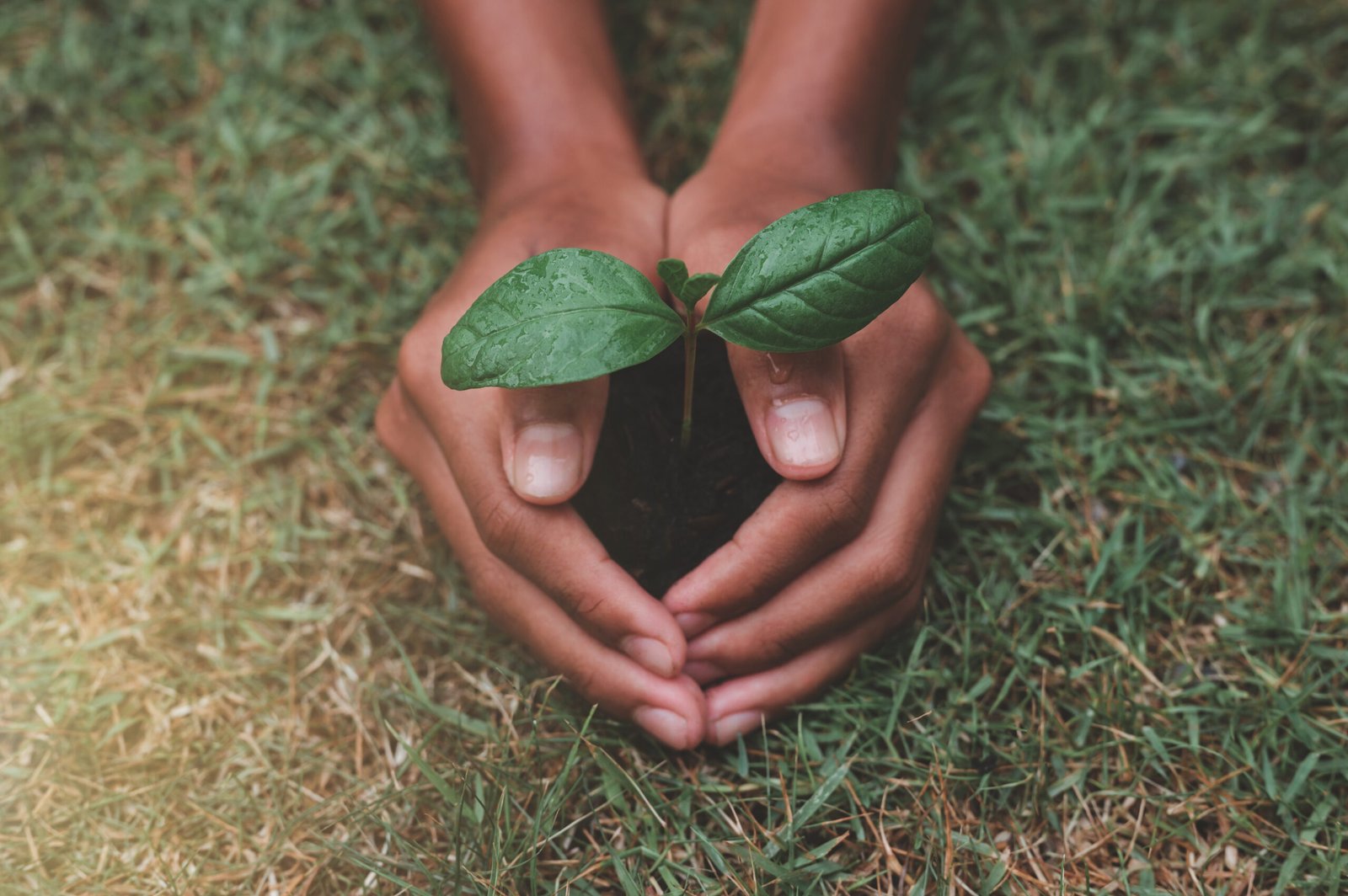 iStock 1401541196 scaled