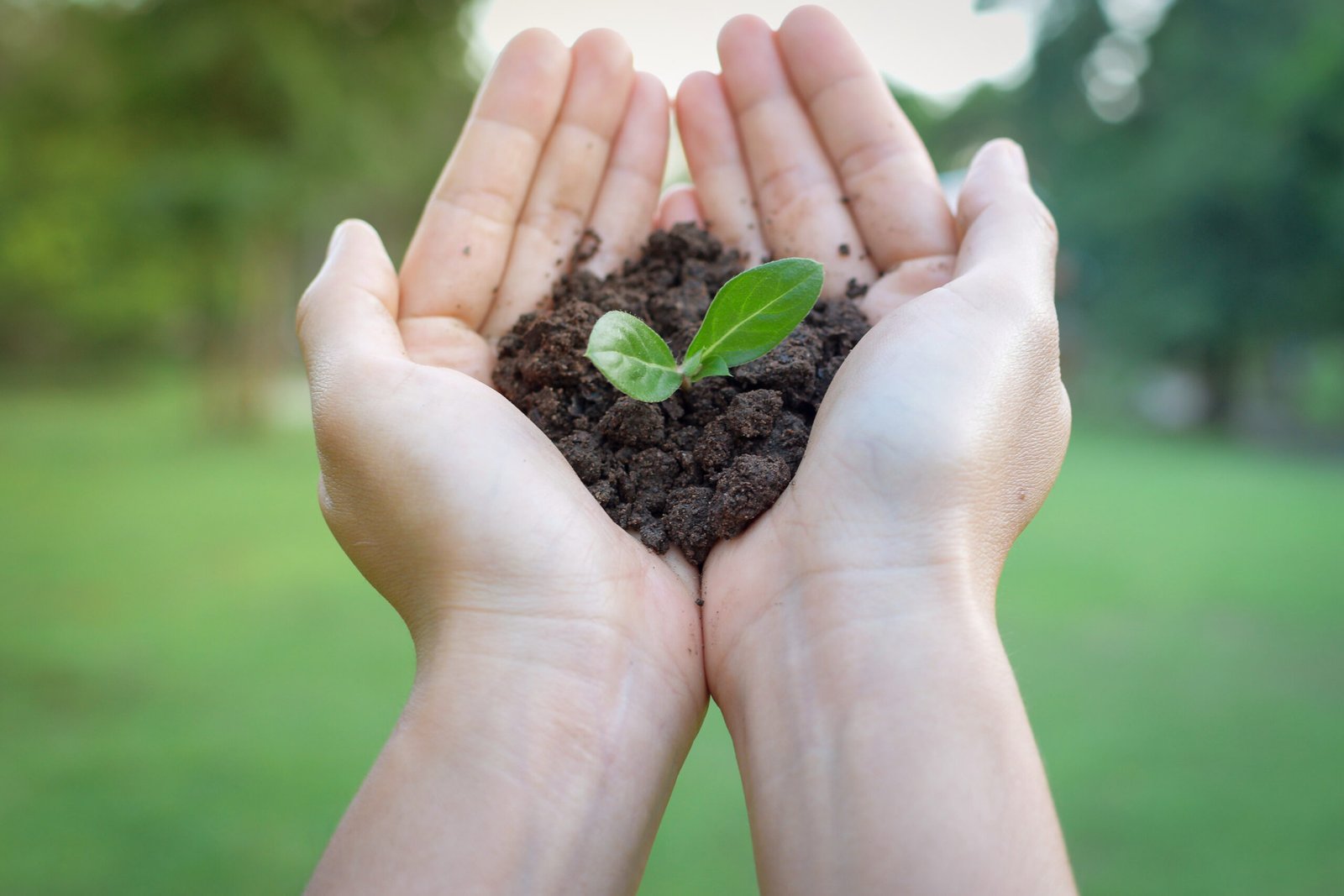 iStock 972532588 scaled